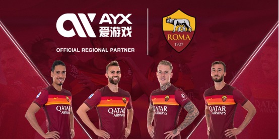 维罗纳VS